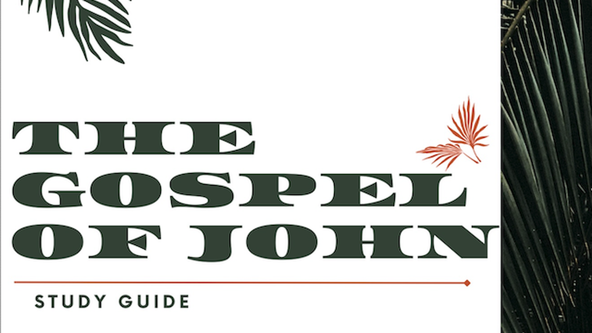 The Gospel of John Study Guide image number 0